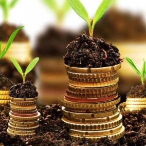 Experto Certificado en Finanzas Sostenibles