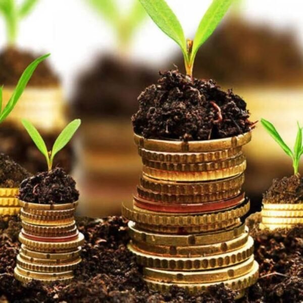 Experto Certificado en Finanzas Sostenibles
